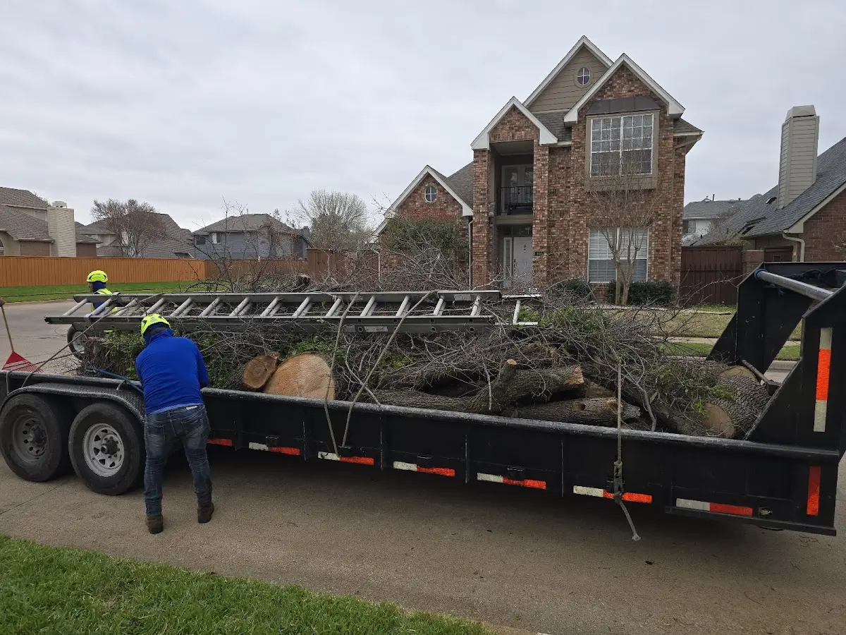 Expert Tree Fertilization with proper safety equipment in Ingleside